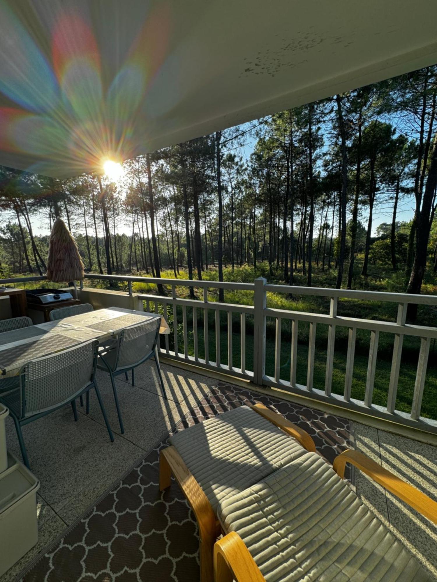La Foret Des Pins - Free Check-In - Wifi - Parking Prive - Netflix - Draps & Serviettes Inclus Labenne Eksteriør billede